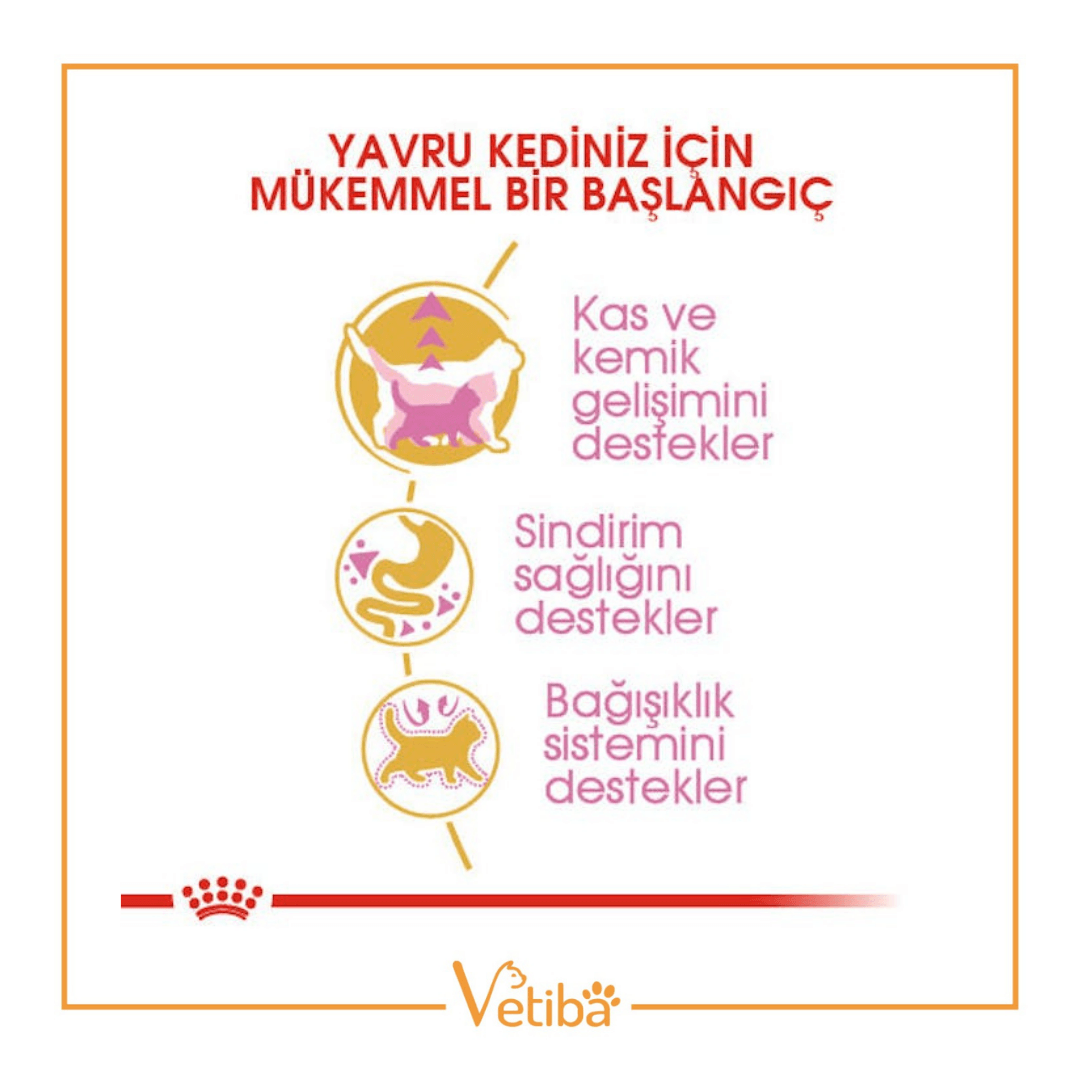 Royal Canin British Shorthair Kitten Yavru Kedi Maması 2 kg