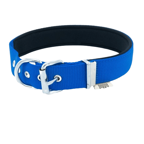 product cover image