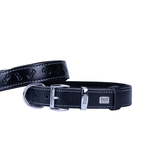 product cover image