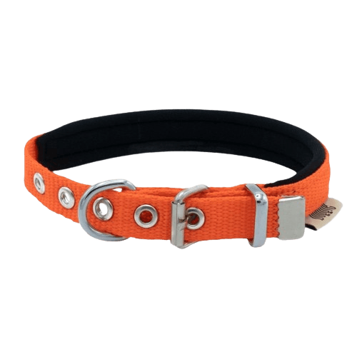 Doggie Konfor Dokuma Boyun Tasması Turuncu 1,5X20-25Cm - STD