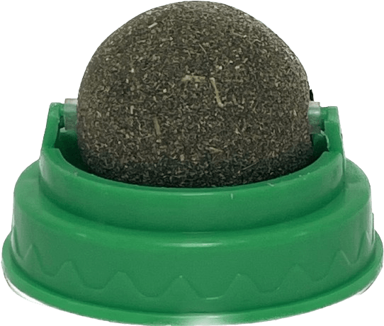 product cover image