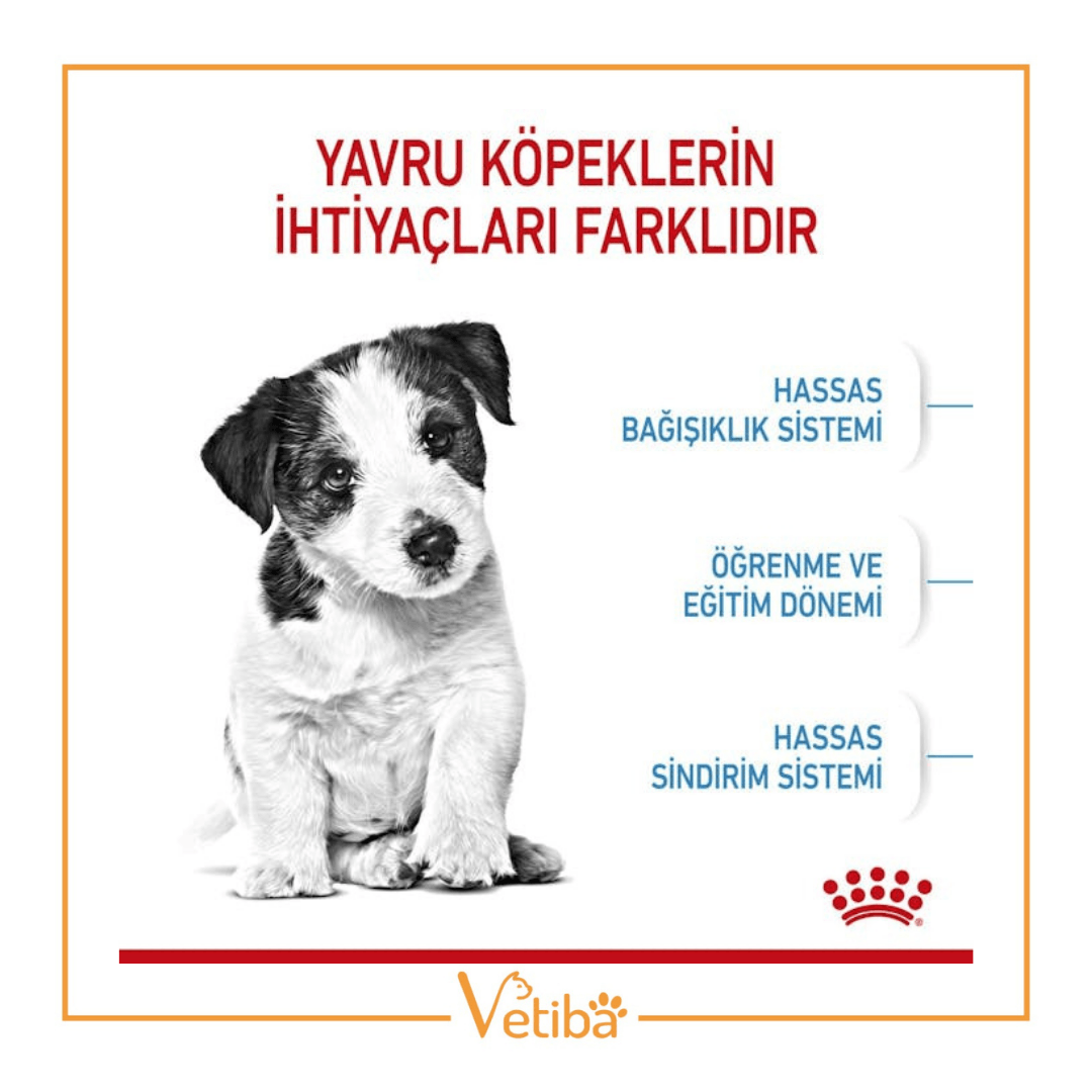 Royal Canin Mini Puppy Küçük Irk Yavru Köpek Maması 2 kg