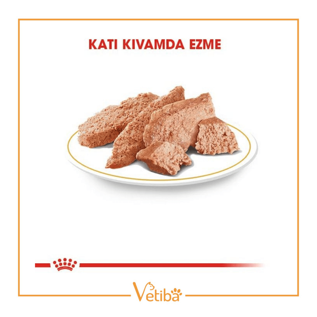 Royal Canin Yorkshire Terrier Yetişkin Köpek Yaş Maması 85 g