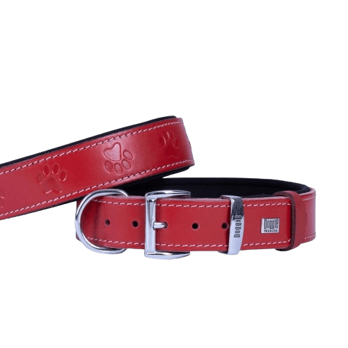 product cover image