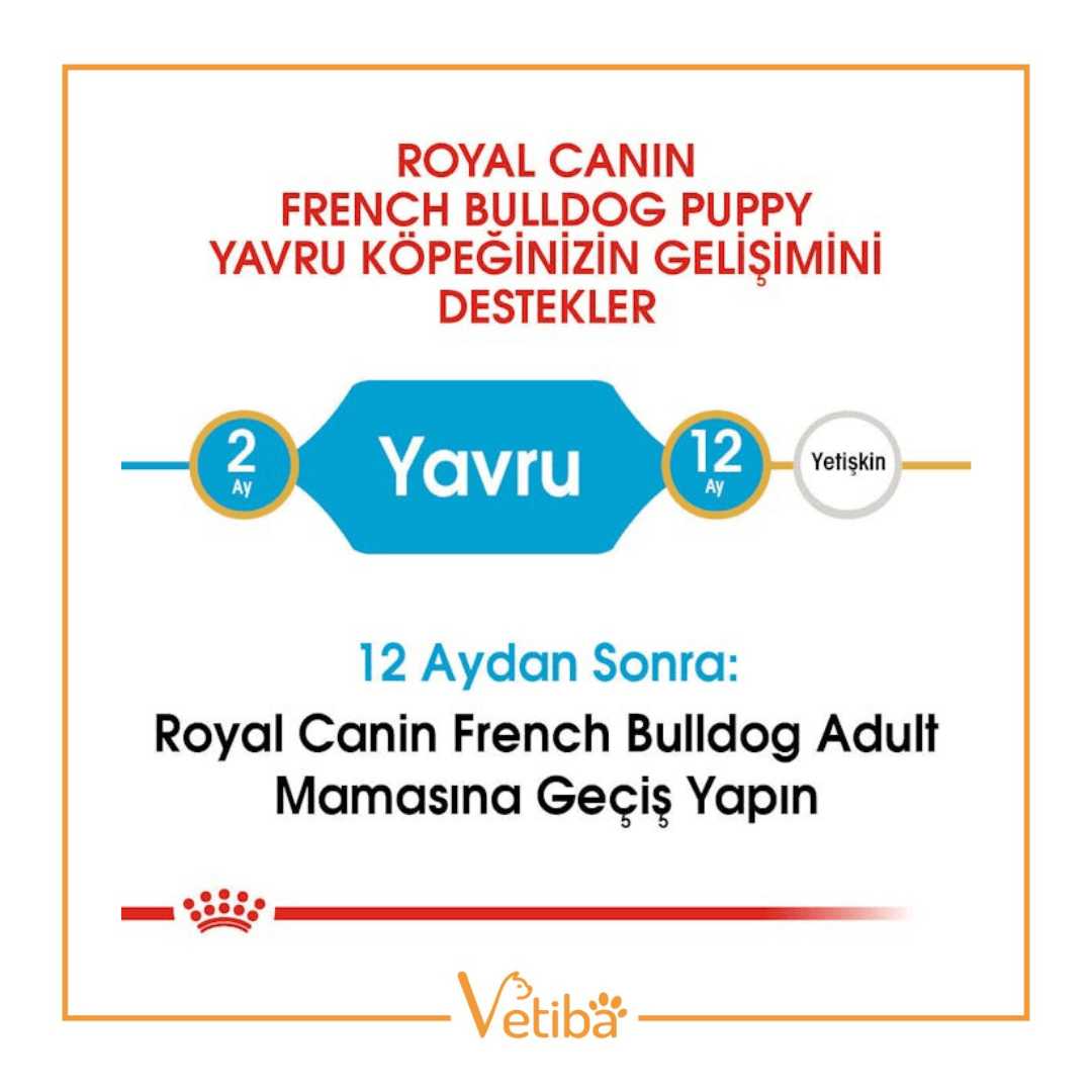 Royal Canin French Bulldog Puppy Yavru Köpek Maması 3 kg