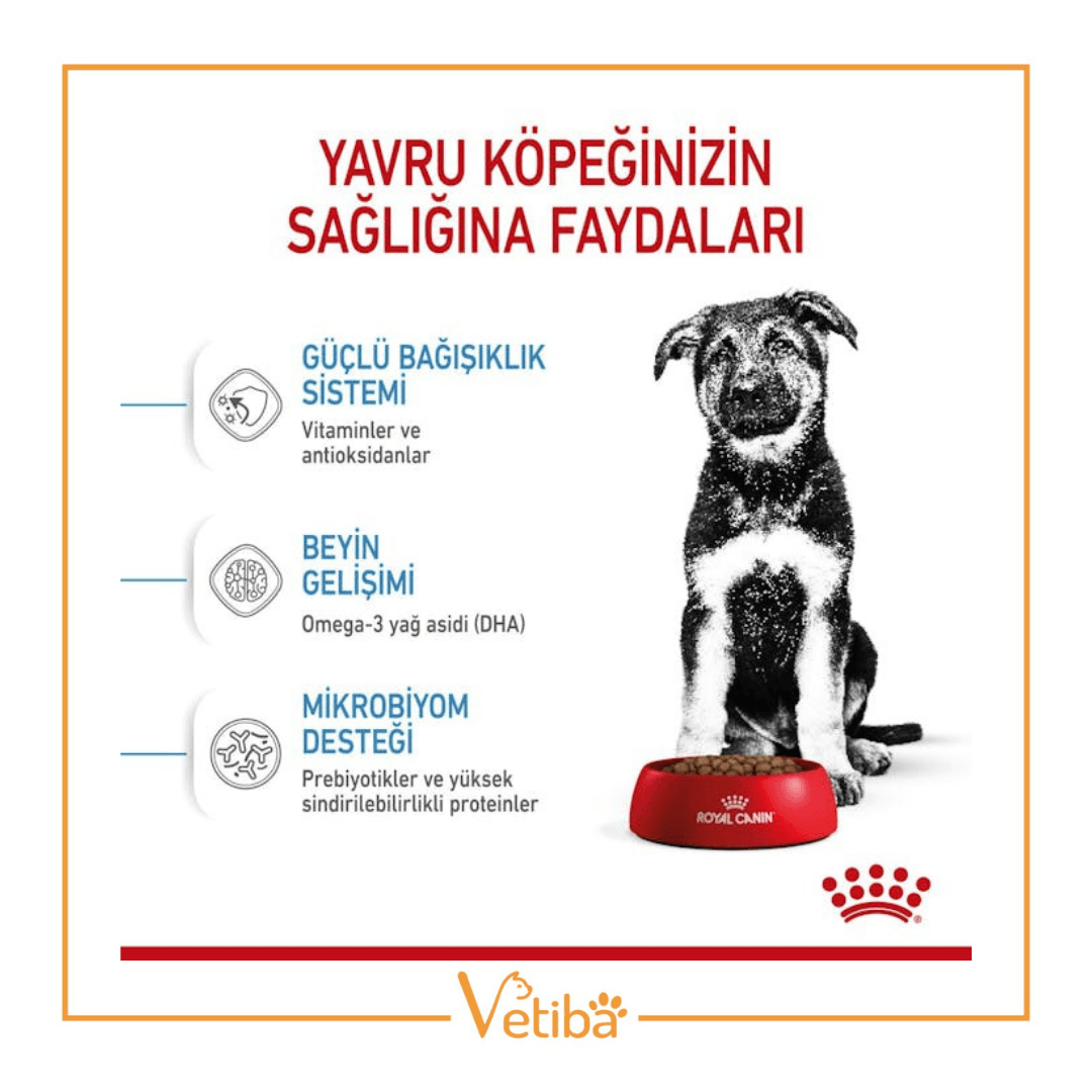 Royal Canin Maxi Puppy Büyük Irk Yavru Köpek Maması 15 kg