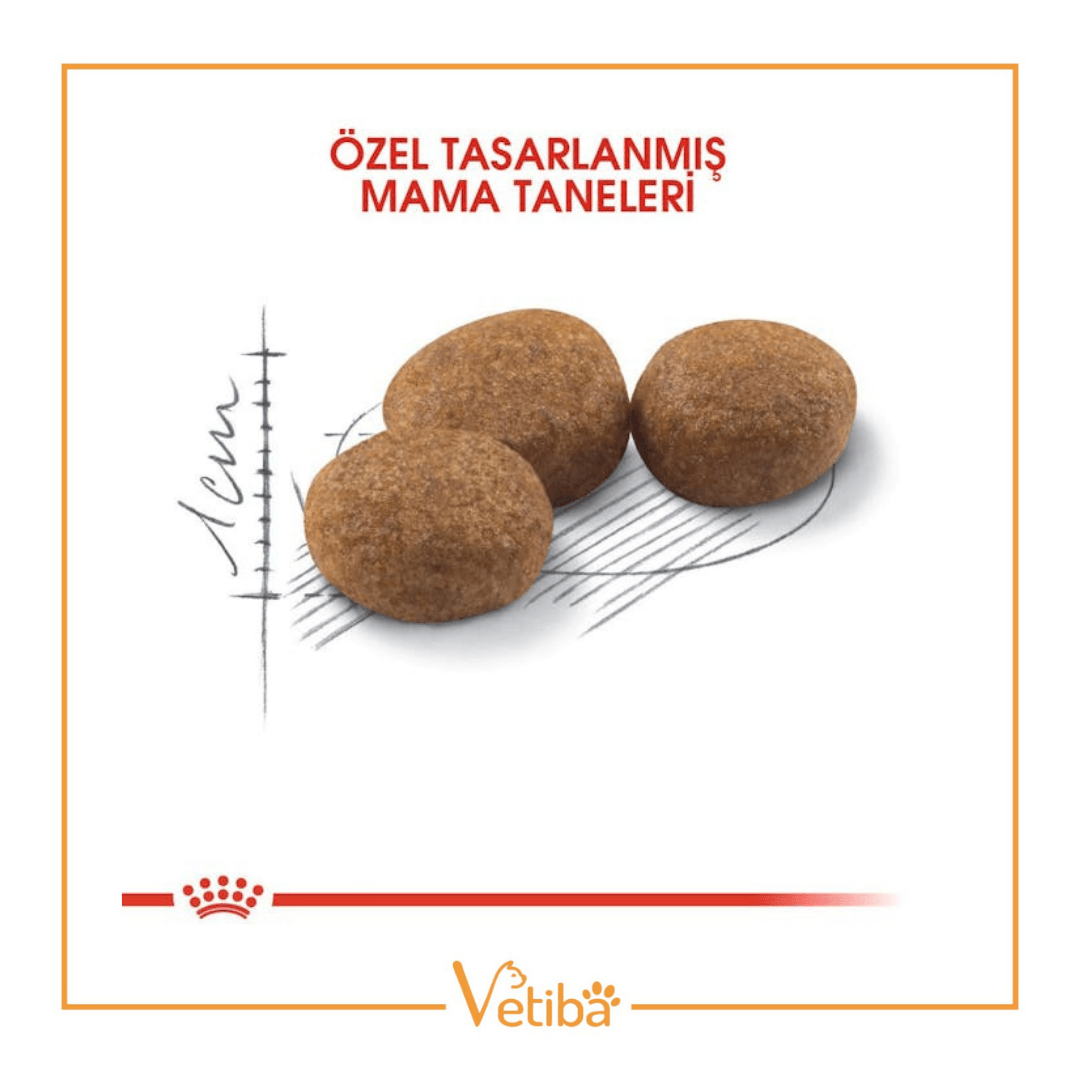 Royal Canin Sterilised 37 Kısırlaştırılmış Kedi Maması 2 kg