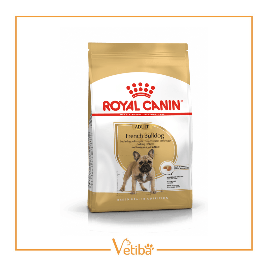 Royal Canin French Bulldog Yetişkin Köpek Maması 3 kg - STD