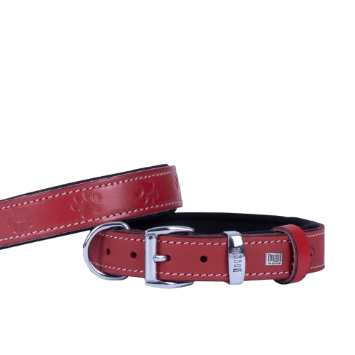 product cover image