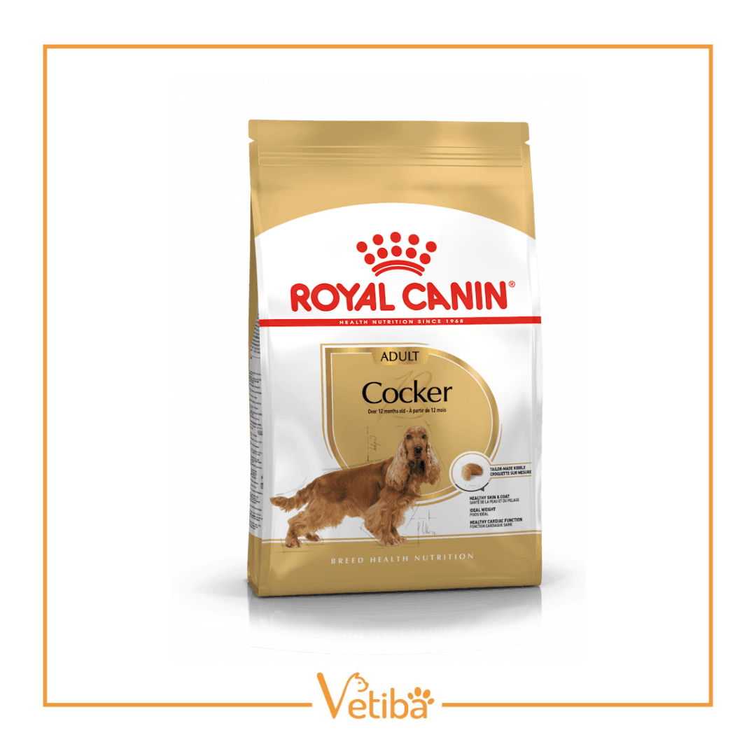 Royal Canin Cocker Yetişkin Köpek Maması 3 kg - STD