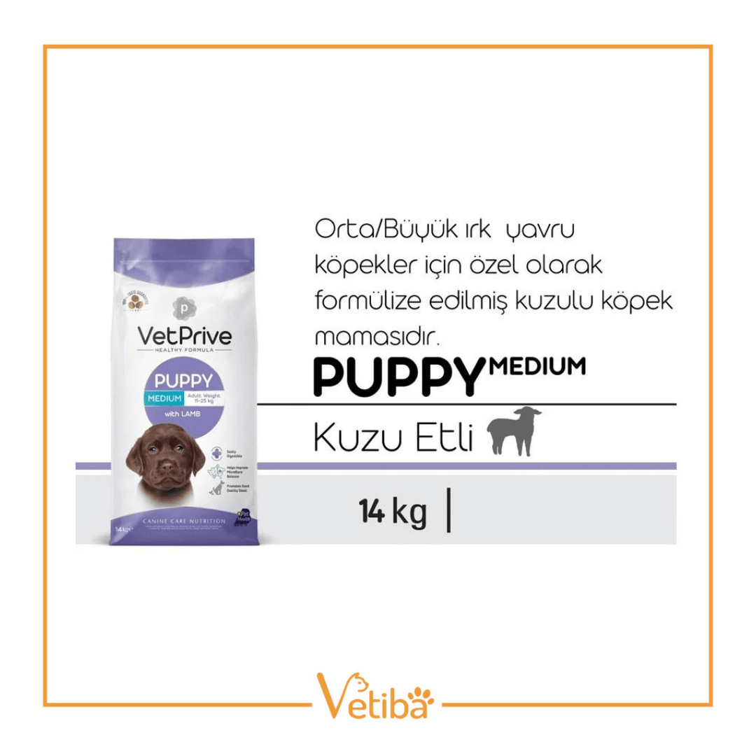 VetPrive Kuzu Etli Orta ve İri Irk Yavru Köpek Maması 14 kg