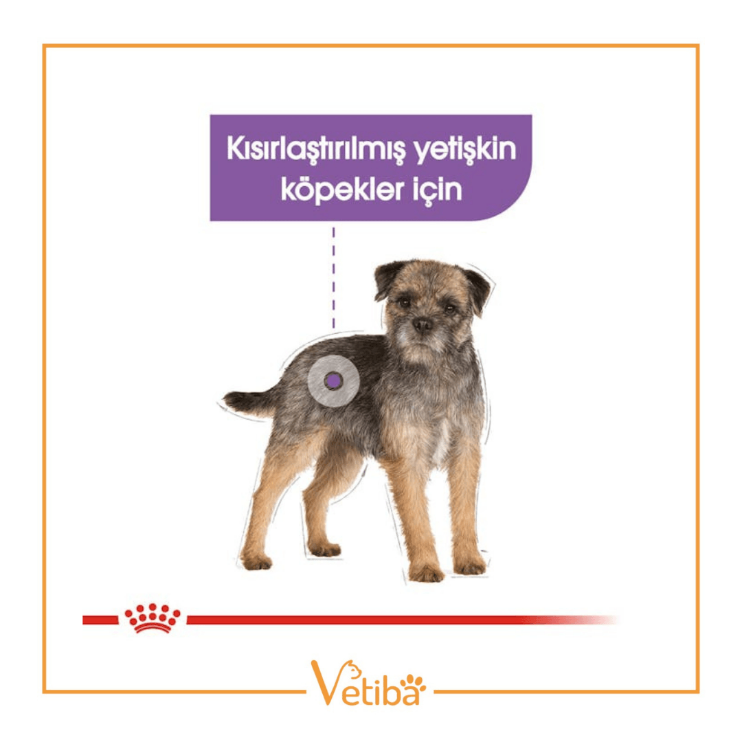 Royal Canin Sterilısed Yetişkin Köpek Yaş Maması 85 g