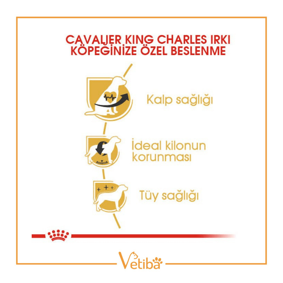 Royal Canin Cavalier King Charles Yetişkin Köpek Maması 3 kg