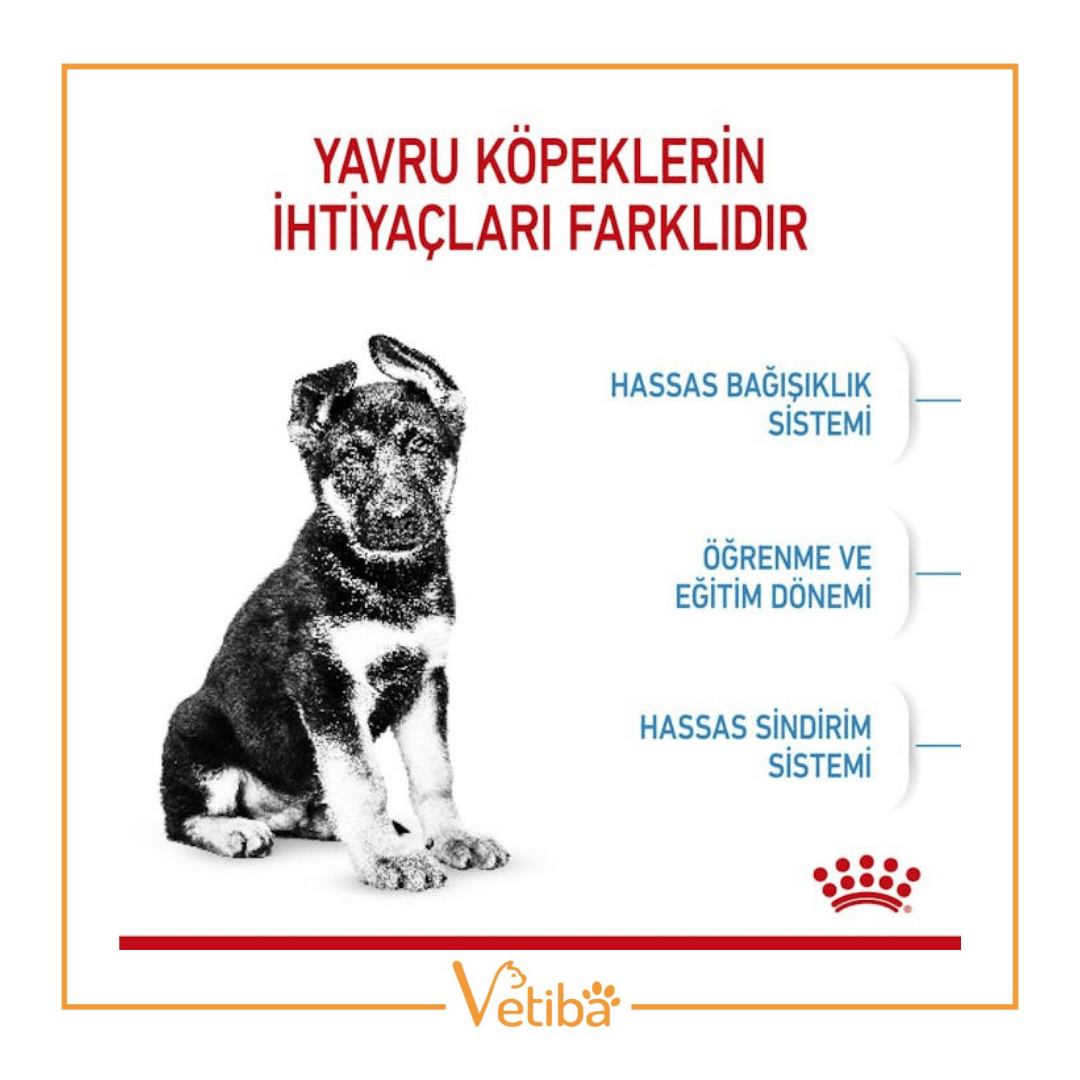 Royal Canin Maxi Puppy Büyük Irk Yavru Köpek Maması 15 kg