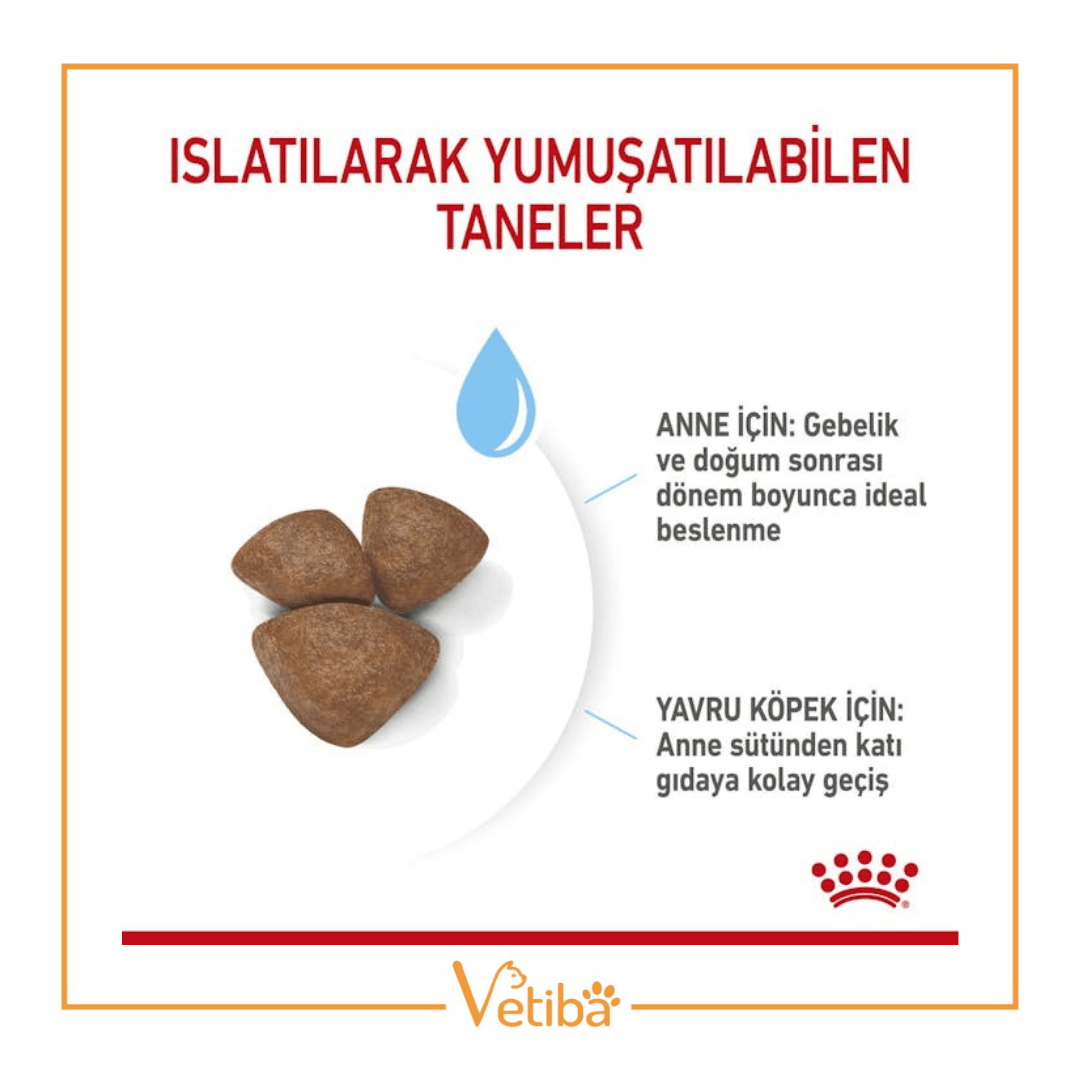 Royal Canin Mini Starter Yavru Köpek Maması 4 kg