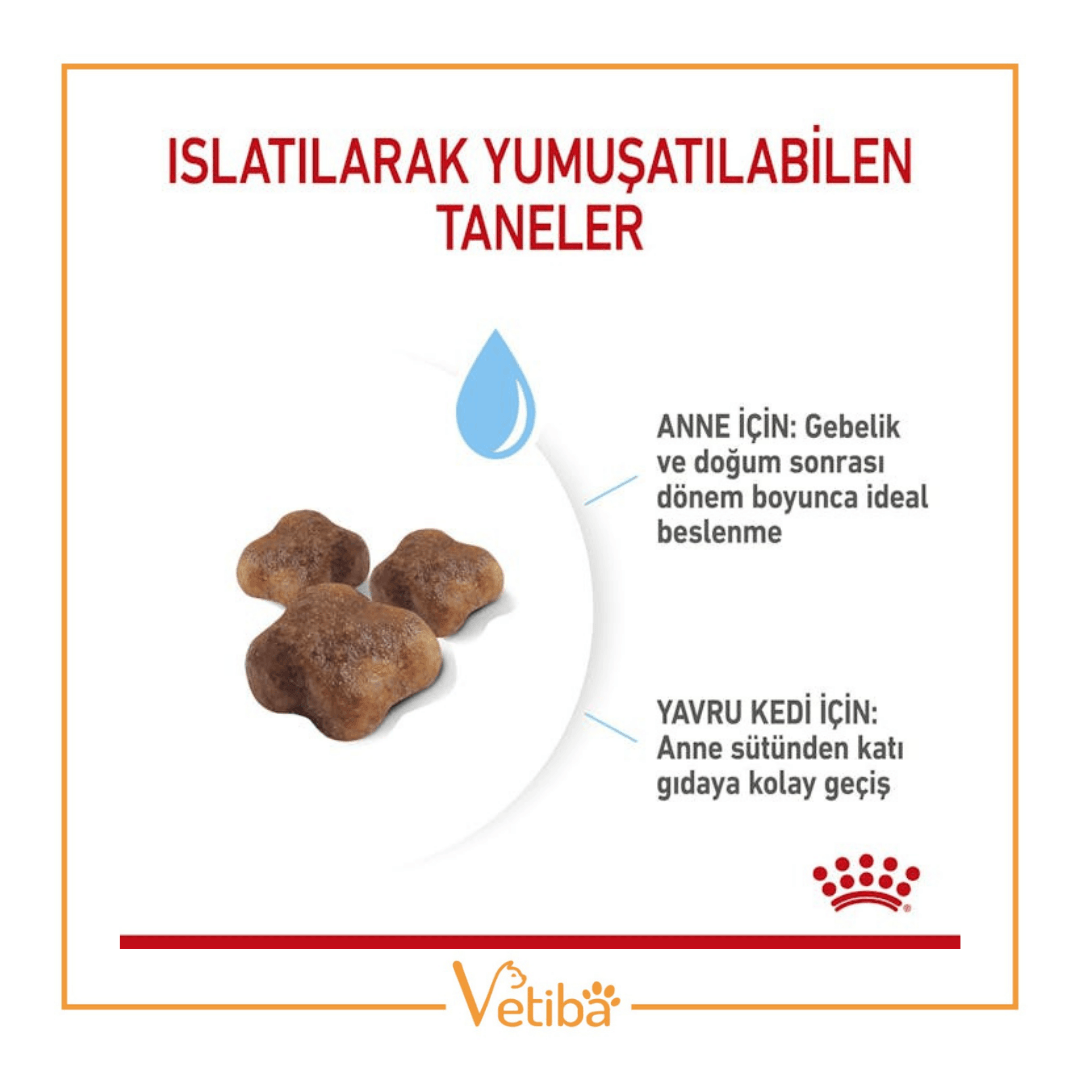 Royal Canin Mother Baby Cat Yavru Kedi Maması 2 kg
