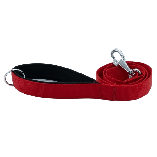 product cover image