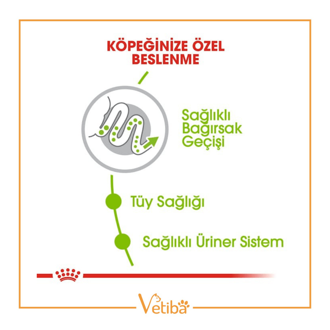 Royal Canin Xsmall Adult Küçük Irk Yetişkin Köpek Maması 1.5 kg