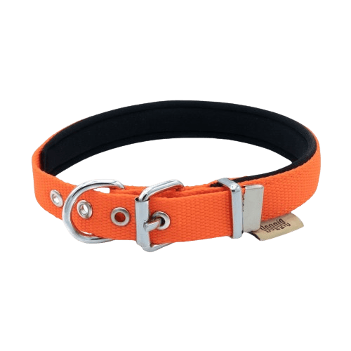 Doggie Konfor Dokuma Boyun Tasması Turuncu 2X35-40Cm - STD