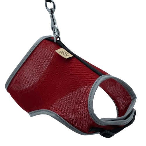 Cattie Havalı Dokuma Kedi Göğüs & Gezdirme Takımı Kırmızı 1X25-35Cm - STD