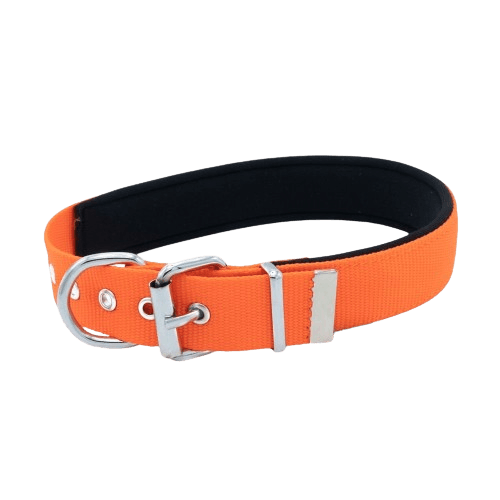 product cover image