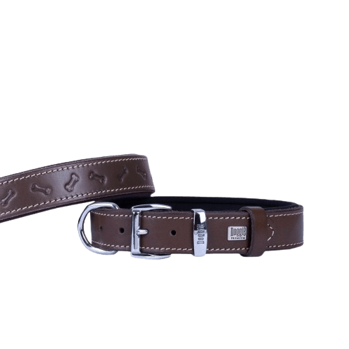 product cover image