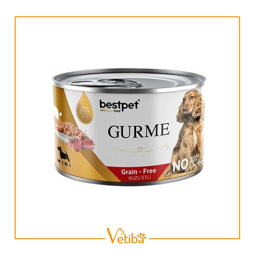 Bestpet Gurme Adult Mini Jelly Yetişkin Köpek Konservesi 200 gr - STD