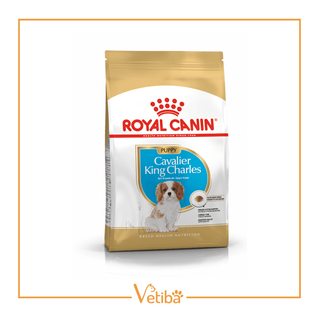 Royal Canin Cavalier King Charles Puppy Yavru Köpek Maması 1,5 kg - STD
