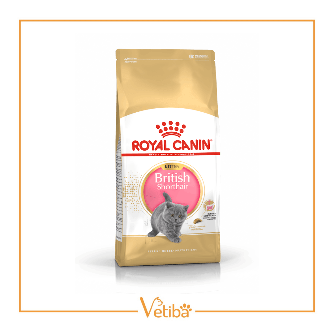 Royal Canin British Shorthair Kitten Yavru Kedi Maması 2 kg - STD