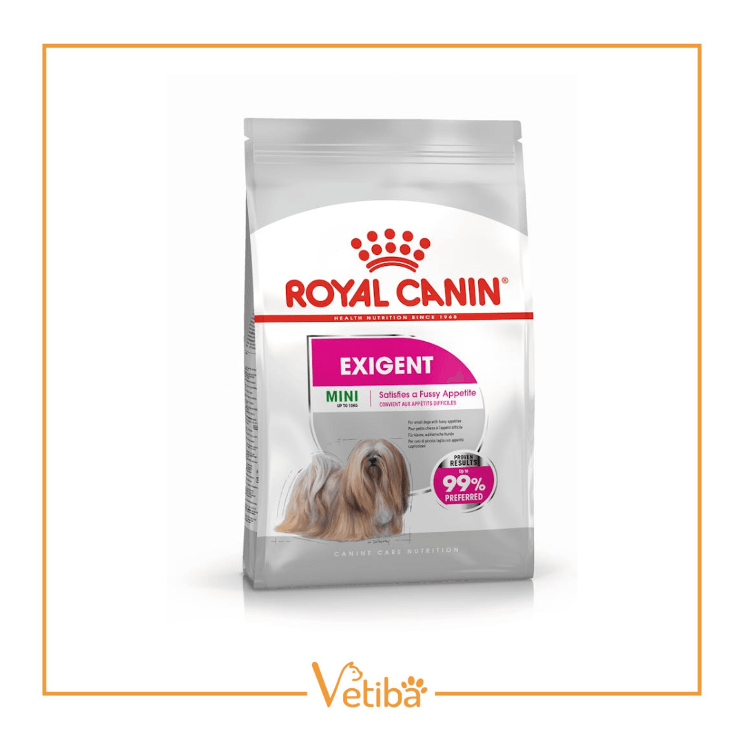 Royal Canin Mini Exigent Yetişkin Köpek Maması 3 kg - STD