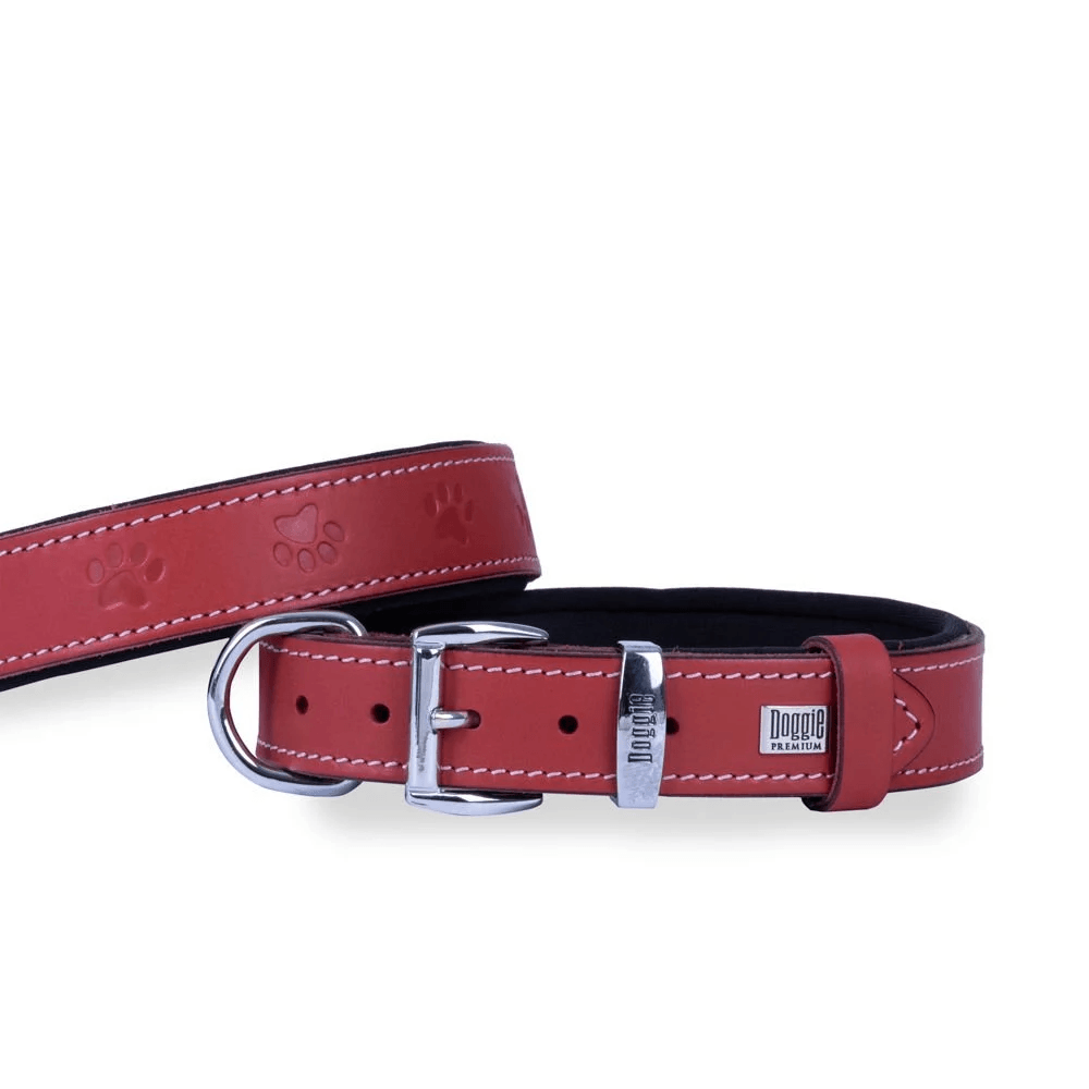 product cover image