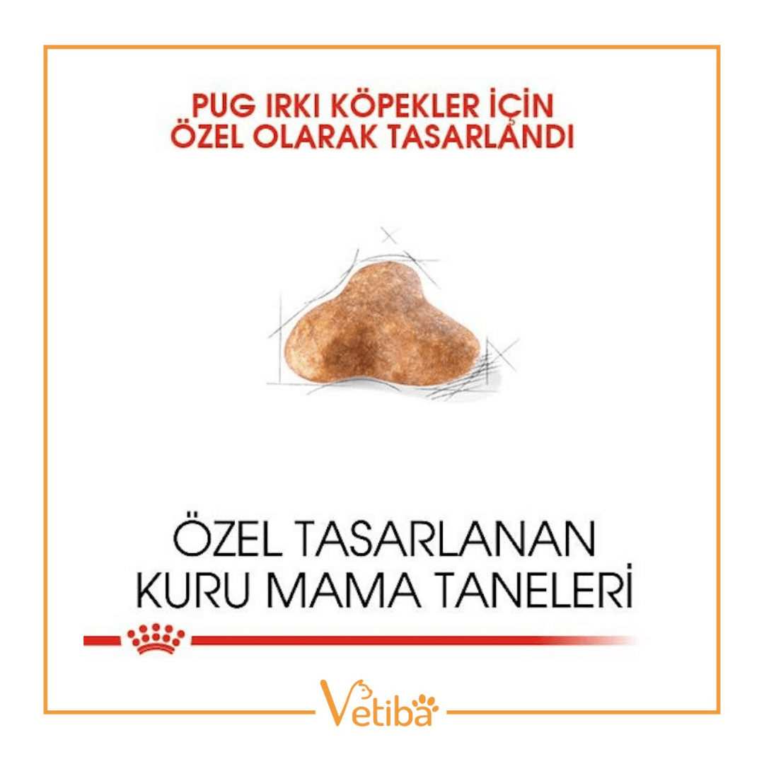 Royal Canin Pug Adult Yetişkin Köpek Maması 1.5 kg