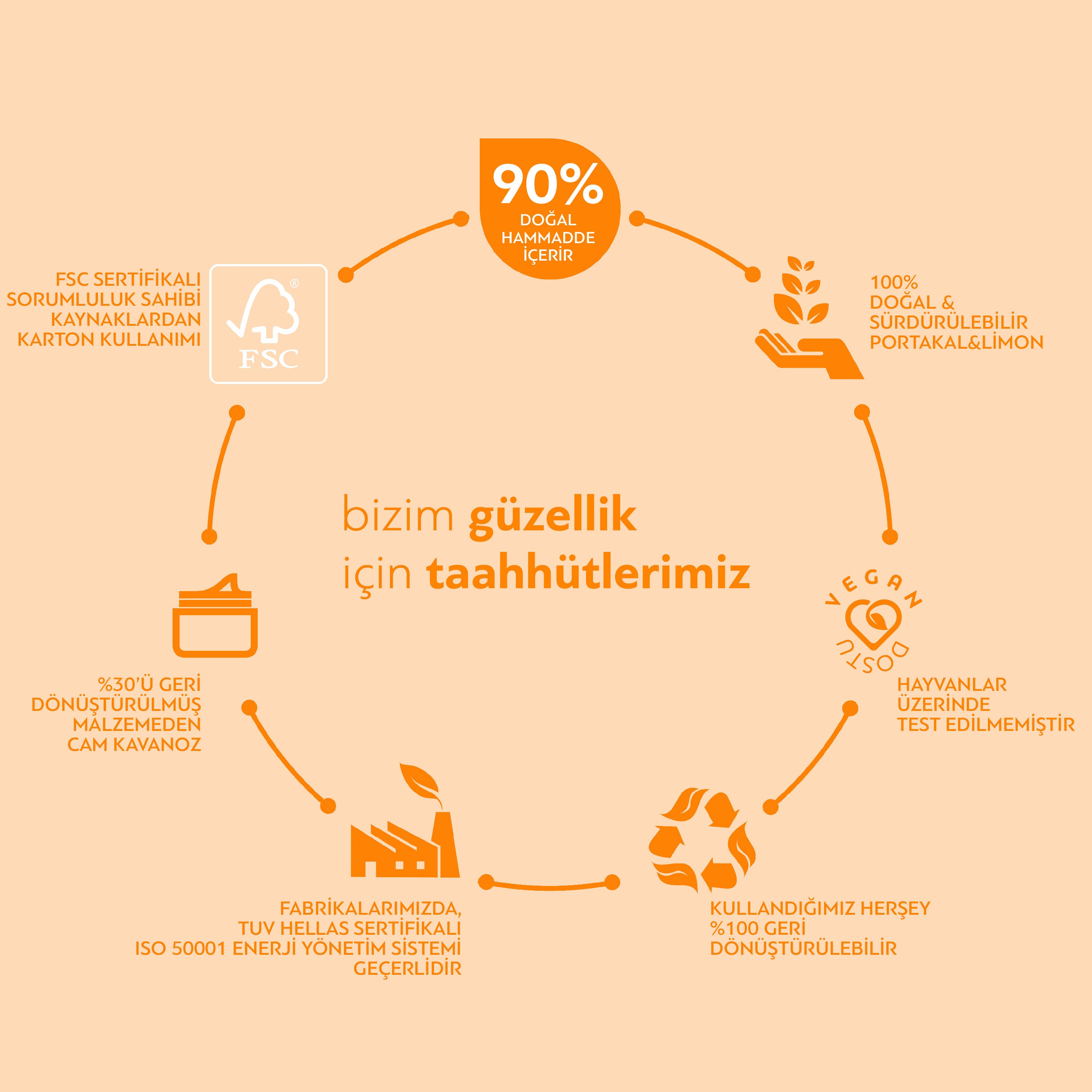 Bioten Vitamin C Aydınlatıcı & Yaşlanma Karşıtı Gece Kremi 50 ml