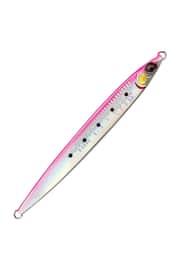 Sardine