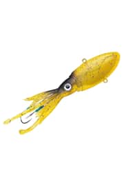 Squid