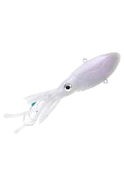 Squid