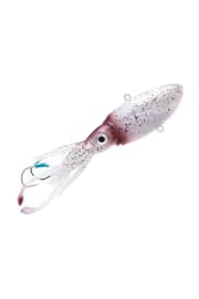 Squid