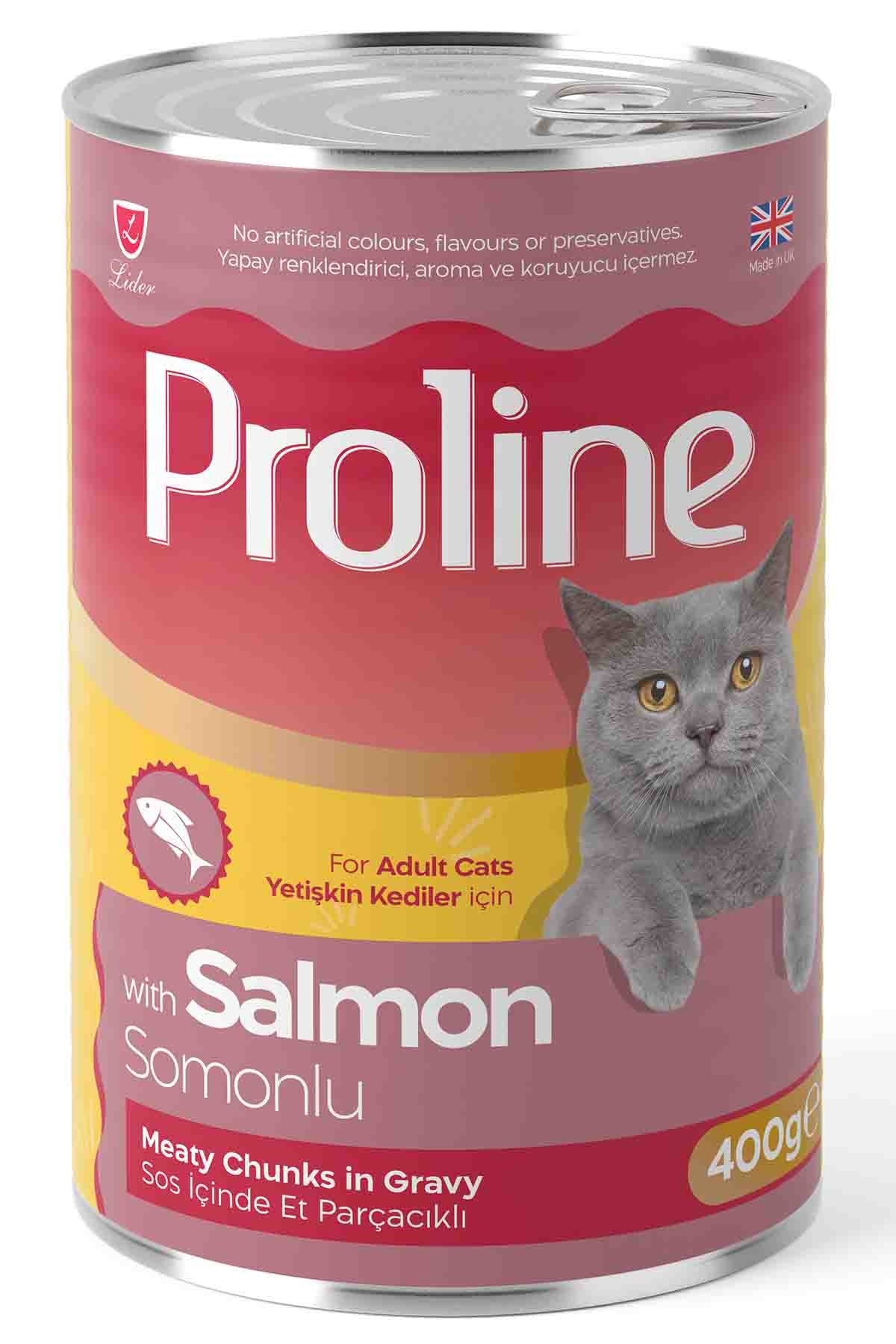 Proline Sos İçinde Et Parçacıklı Somonlu Yetişkin Kedi Konservesi 400 Gr