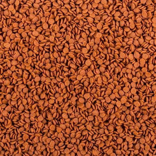Tropical Soft Line Africa Carnivore Chips Size M 100 Ml