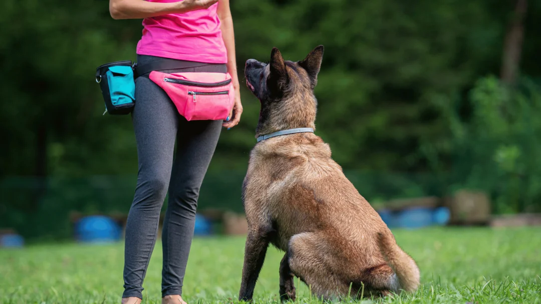 Köpeğiyle açık alanda sakin yürüyüş yapan kadın eğitmen.
