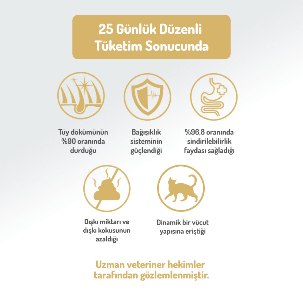 Felicia Starter Care Kuzu Etli Yavru Kedi Maması 12 Kg
