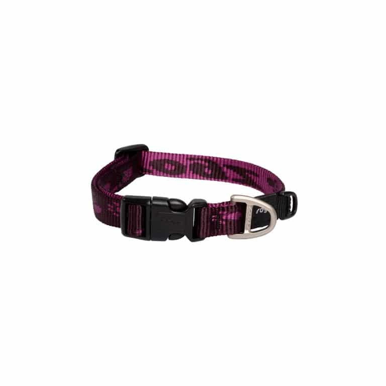 Rogz Alpinist Halsband S Paars Boyun Tasması