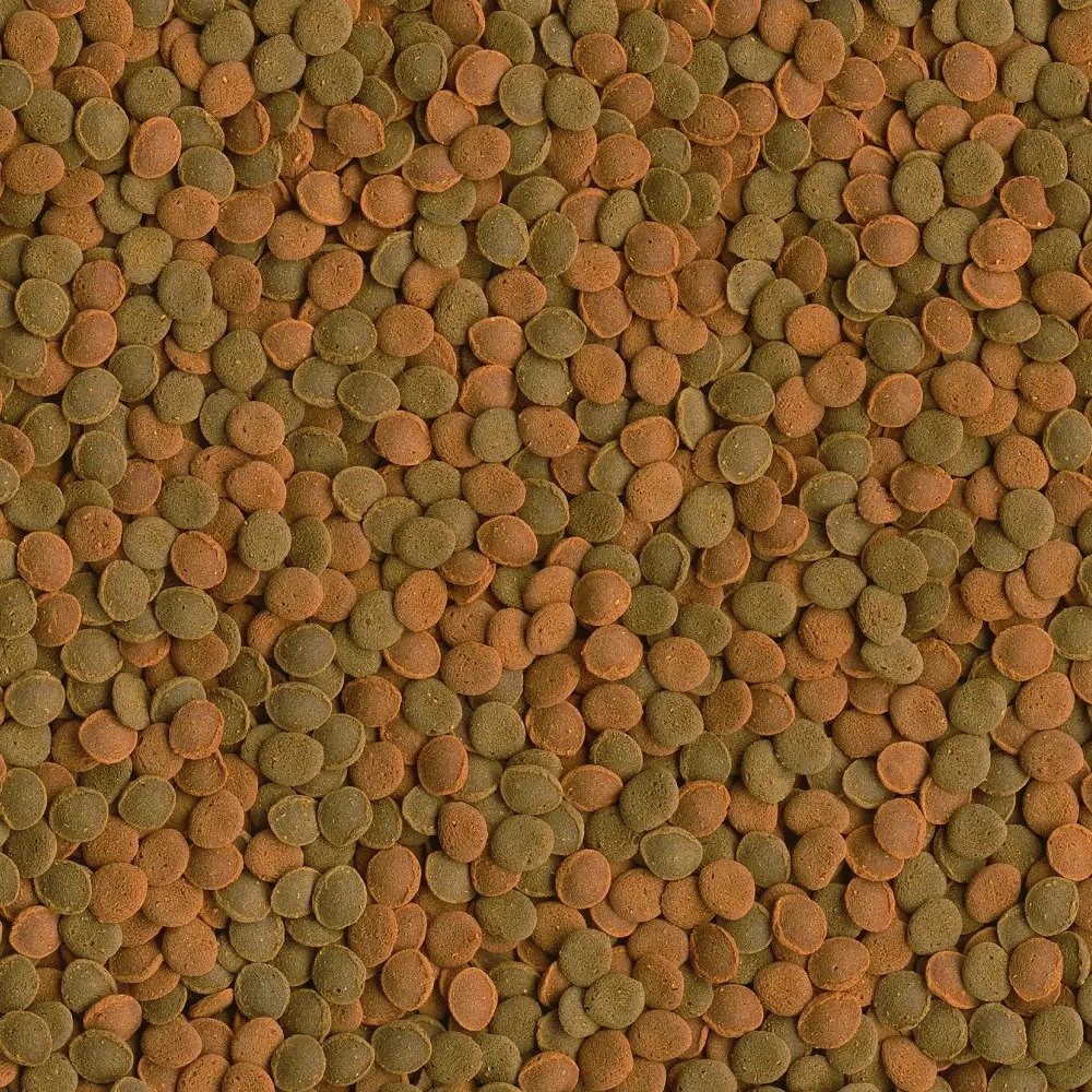 Tetra Wafer Mix 1850 Gr