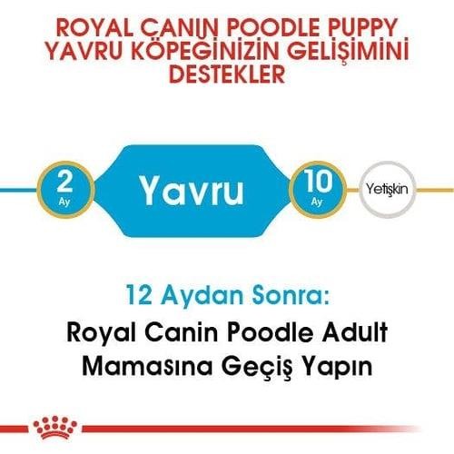 Royal Canin Poodle Puppy Köpek Maması 3 Kg