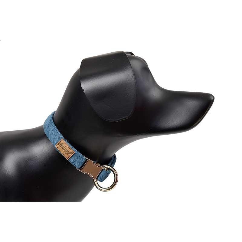 Dubex G-Dog Köpek Boyun Tasması Turkuaz XS-S