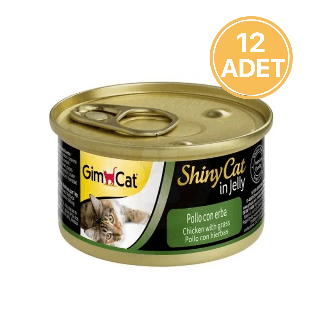 Gimcat Shiny Cat in Jelly Tavuklu ve Çimenli Konserve Yetişkin Kedi Maması 70 Gr (12 Adet)