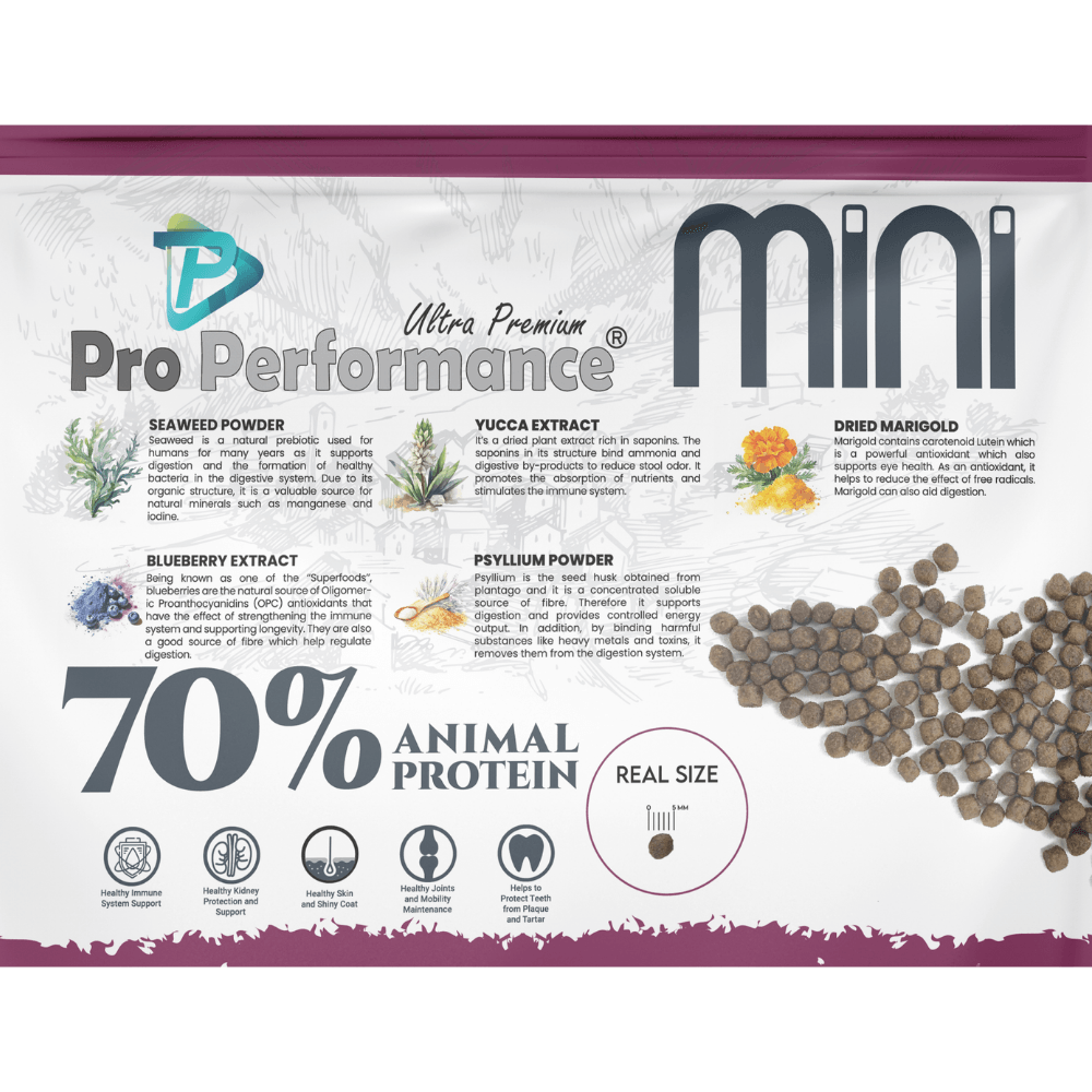 Pro Performance Ultra Premium Hipoalerjenik Kuzu Etli ve Yaban Mersinli Küçük Irk Yavru Köpek Maması 7 Kg