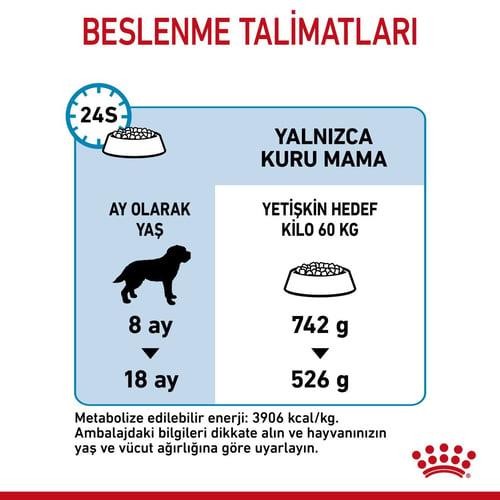 Royal Canin Giant Junior Dev Irk Yavru Köpek Maması 15 Kg