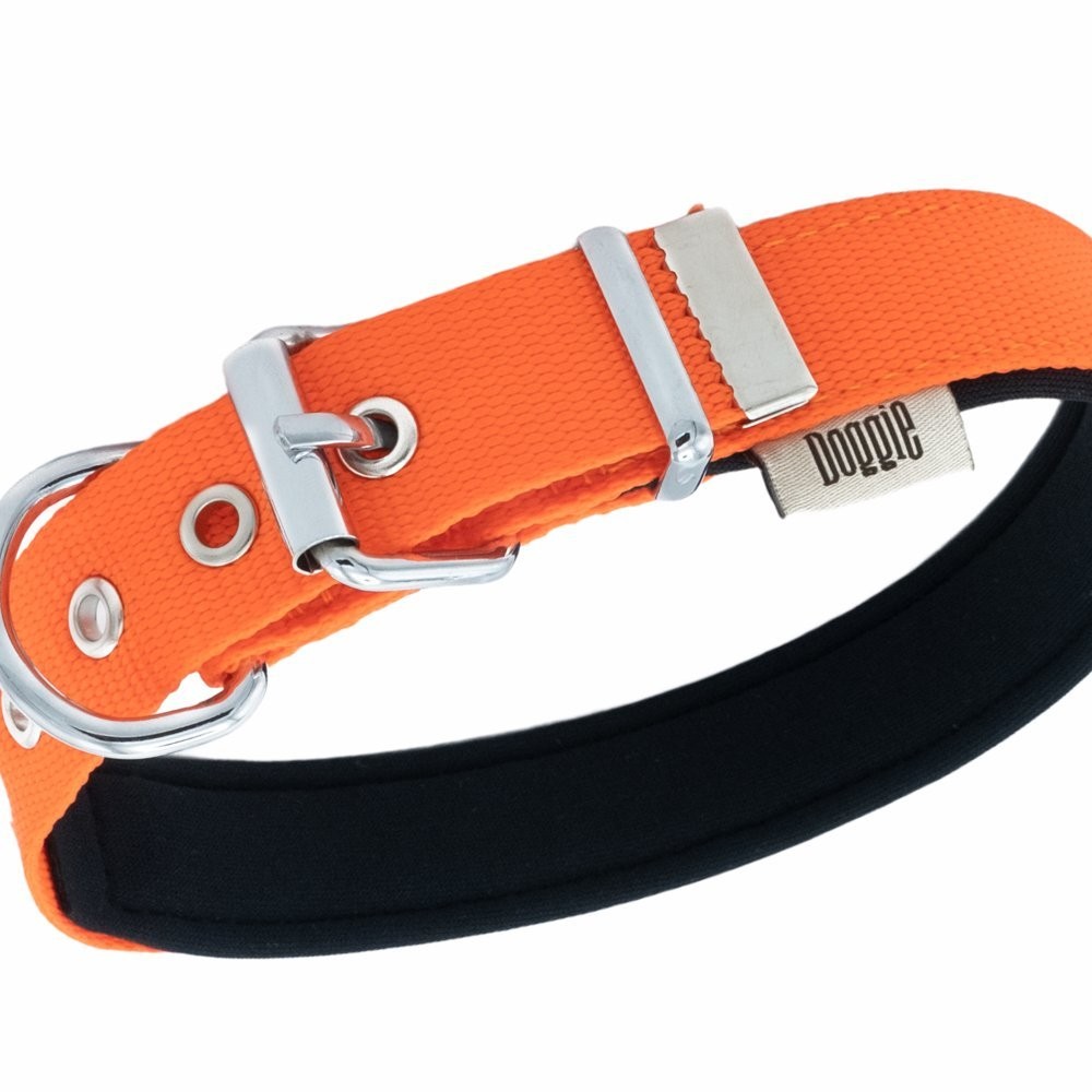 Doggie Comfort Yumuşak Dokuma Köpek Boyun Tasması M 2.5x37-45 Cm Turuncu