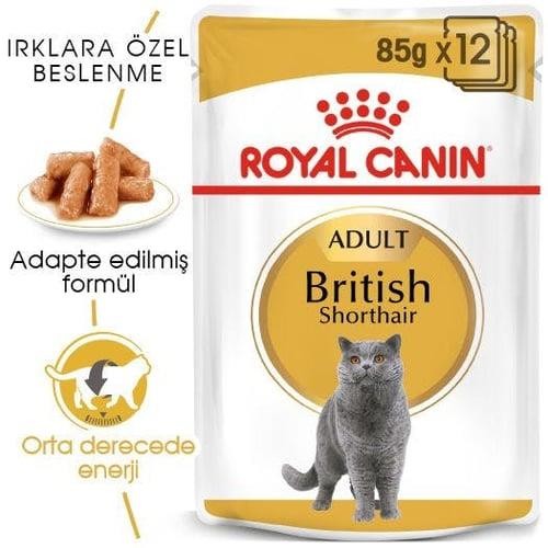 Royal Canin British Shorthair Yetişkin Kedi Maması 4 Kg